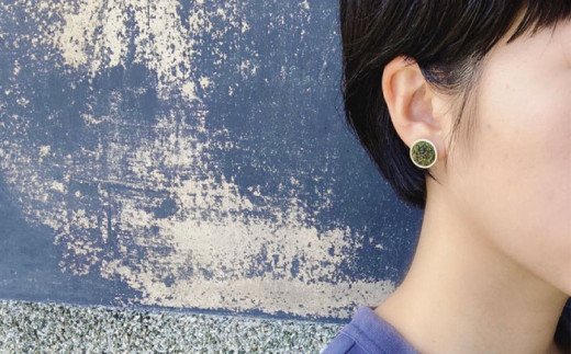 苔 ピアス アクセサリー コケ 大村市 Barie[ACYO012]