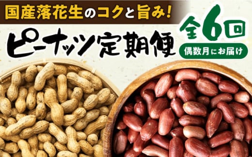 【偶数月(全6回)お届け】 ピーナツ 定期便 1 / ピーナッツ ナッツ おつまみ おやつ / 大村市 / 浦川豆店[ACZR008]