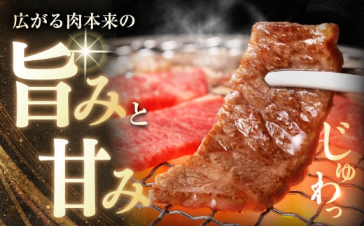 長崎和牛バラ霜降焼肉用 約1kg（約500g×2P）/ 牛肉 バラ ばら バラ肉 ばら肉 霜降り 霜降 焼肉 焼肉用 小分け 牛 ブランド牛 和牛 / 大村市 / まるしん商会[ACCD017]