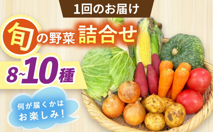 【全6回定期便】採れたてお野菜おまかせセット（8〜10種）/ 野菜 やさい 野菜セット 野菜詰め合わせ 詰め合わせ セット / 大村市 / かとりストアー [ACAN134]