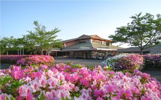 【 ニューコース 】 平日 ゴルフ プレー券 ( 1名様分 ) / 平日 カントリー スポーツ 1名様 長崎 / 大村市 / 大村湾カントリー倶楽部[ACAY002]