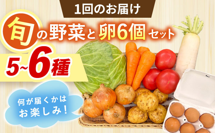 【全10回定期便】採れたてお野菜おまかせ（5〜6種）・卵6個セット/ 野菜 やさい 野菜セット 野菜詰め合わせ 詰め合わせ セット たまご 卵 タマゴ 紅たまご こだまさんち / 大村市 / かとりストアー [ACAN131]