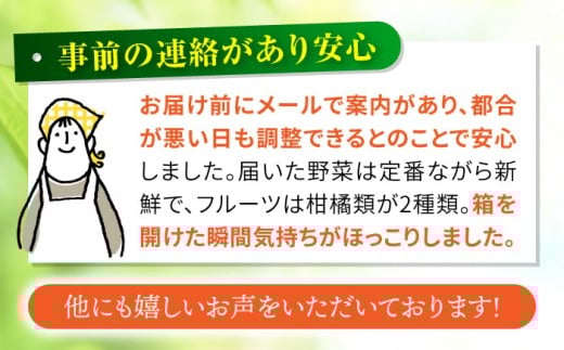 【3回定期便】シュシュの直売所から野菜・果物定期便コース / 便利な定期便 バラエティ定期便 フルーツ 定期 野菜セット 野菜 定期便 果物 くだもの フルーツ フルーツ定期便 / 大村市 / おおむら夢ファームシュシュ[ACAA164]