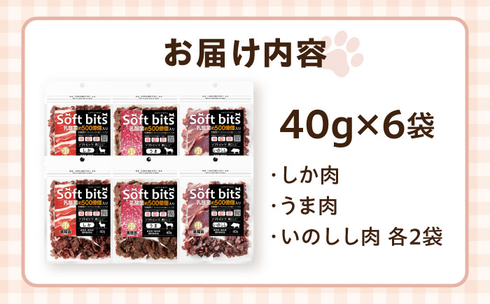 Softbits ドッグフード 肉アソート（40g×6P）/ ドッグフード 犬 いぬ ドッグ おやつ ペットフード / 大村市 / サポート [ACAM003]