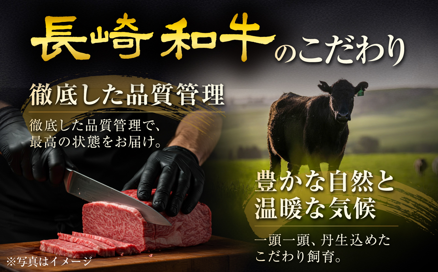 【12回定期便】長崎和牛ヒレステーキ 約200g×2枚/回 / ヒレ定期便 定期便 ステーキ すてーき ヒレ ひれ ヒレ ヒレステーキ ヒレ肉 和牛 牛肉 肉 牛 / 大村市 / まるしん商会 [ACCD062]