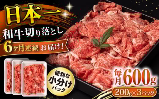 【6回定期便】長崎和牛 切り落とし 600g/月（総計3.6kg） / 牛肉 切り落とし 切りおとし きりおとし すき焼き 小分け / 大村市 / おおむら夢ファームシュシュ [ACAA223]
