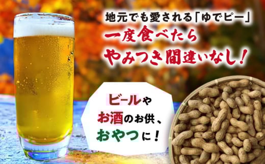 塩ゆで落花生 合計400g（200g×2袋）/ ゆでぴー 落花生 ピーナッツ ナッツ おつまみ おやつ / 大村市 / 浦川豆店 [ACZR011]