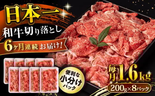 【6回定期便】長崎和牛 切り落とし 1.6kg/月（総計9.6kg） / 牛肉 切り落とし 切りおとし きりおとし すき焼き 小分け / 大村市 / おおむら夢ファームシュシュ [ACAA243]