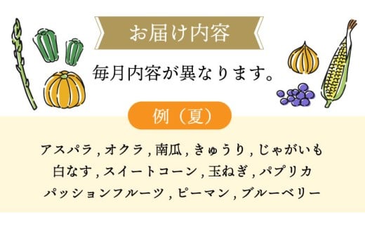 【3回定期便】シュシュの直売所から野菜・果物定期便コース / 便利な定期便 バラエティ定期便 フルーツ 定期 野菜セット 野菜 定期便 果物 くだもの フルーツ フルーツ定期便 / 大村市 / おおむら夢ファームシュシュ[ACAA164]