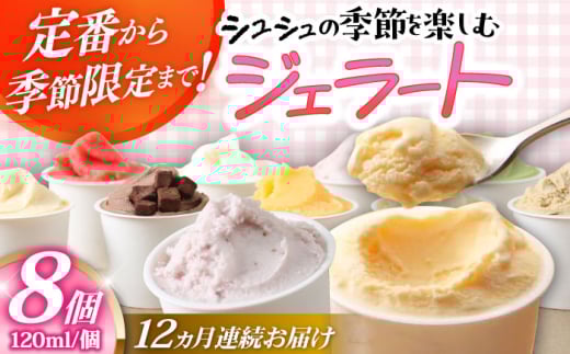 【12回定期便】シュシュ 季節のジェラート8個セット / アイス アイスクリーム ジェラート スイーツ /  大村市 / おおむら夢ファームシュシュ [ACAA419]