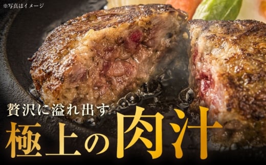長崎和牛 ハンバーグ 約200g×5個 / 和牛 ハンバーグ はんばーぐ ブランド肉 おかず 惣菜 お弁当 夕食 お肉 冷凍  / 大村市 / まるしん商会[ACCD001]