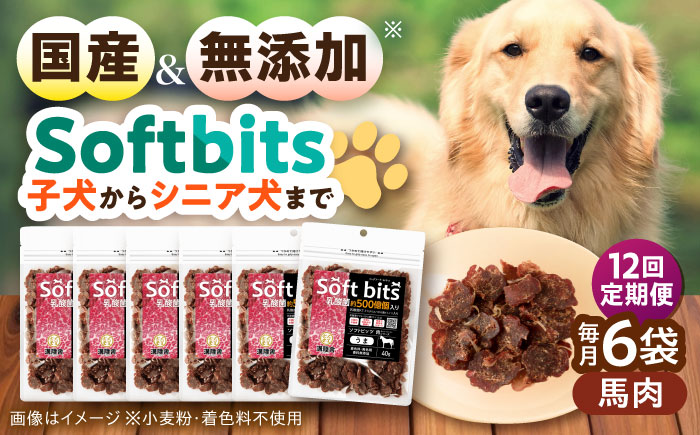 【全12回定期便】Softbits ドッグフード 馬（40g×6P）/ ドッグフード 犬 いぬ ドッグ おやつ ペットフード / 大村市 / サポート [ACAM039]