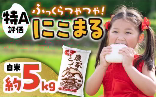 長崎県産 にこまる 約5kg  / 米 おこめ お米 白米 / 大村市 / かとりストアー[ACAN001]