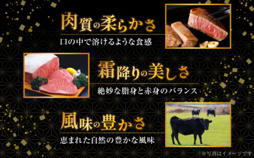 【12回定期便】リブロース サーロイン 500g 希少部位 長崎和牛 A4〜A5ランク / 牛肉 和牛 牛 霜降り 黒毛和牛 / 大村市 / 肉のふじた[ACAF004]