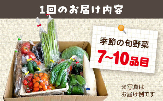【全12回定期便】農家自慢 季節の野菜セット（7〜10品目） / 詰め合わせ 野菜 やさい 野菜セット 野菜詰め合わせ 旬 春野菜 夏野菜 秋野菜 野菜定期便 / 大村市 / 産直松吉[ACZC003]