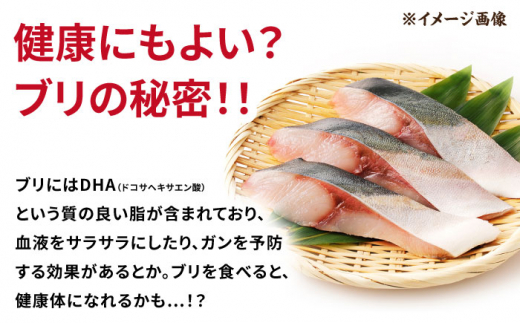 長崎県産ブリ切身 西京漬け 小分け  計8切れ （2切れ×4パック）/ ブリ ぶり 鰤 魚 切り身 切身 小分け 冷凍 小分けパック 簡単調理 長崎県産 魚 焼くだけ 和食  西京漬け 西京漬け魚 / 大村市 / かとりストアー[ACAN027]
