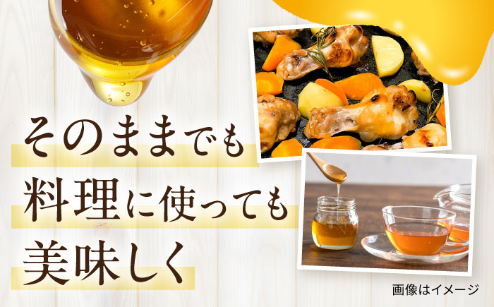 森のはちみつ 百花蜜 600g 蜂蜜 ハチミツ 大村市 三浦かんさく市 [ACAE006]