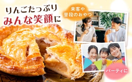 【到着日指定必須】アップルパイ 1ホール(直径23cm) / アップルパイ ケーキ りんご パイ 洋菓子 スイーツ / 大村市 / 大又農園野の実[ACZO003]