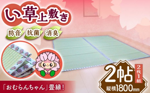 畳屋さんが作った！い草の上敷き (2枚) 面ファスナー付き (おむらんちゃん縁) / 畳 おしゃれ畳 新生活 一人暮らし / 大村市 / 株式会社勝手[ACZJ002]