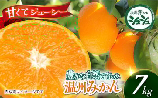 【2025年11月上旬より順次発送】みかん 7kg　/ みかん 果実 柑橘 / 大村市 / おおむら夢ファームシュシュ [ACAA378]