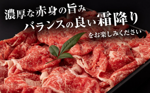 長崎和牛 切り落とし肉 1.4kg / 牛肉 切り落とし 切落し きりおとし すき焼き すきやき しゃぶしゃぶ 小分け / 大村市 / おおむら夢ファームシュシュ[ACAA144]