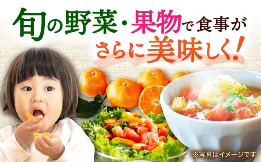 【6回定期便】シュシュの直売所から野菜・果物定期便コース / 便利な定期便 バラエティ定期便 野菜 やさい 定期便 果物 くだもの フルーツ ふるーつ 産地直送 フルーツ定期便 / 大村市 / おおむら夢ファームシュシュ[ACAA165]