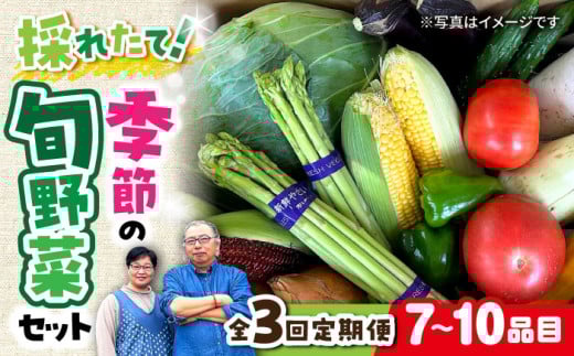 【全3回定期便】 農家自慢 季節の野菜セット（7～10品目） / 詰め合わせ 野菜 やさい 野菜セット 野菜詰め合わせ 旬 春野菜 夏野菜 秋野菜 野菜定期便 / 大村市 / 産直松吉[ACZC004]