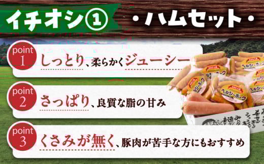 【24回定期便】毎月 2回 お届け！ファーストクラス 定期便（ ハンバーグ 長崎和牛 プリン いちご ジェラート ハムセット 豚肉 ジュレ ぶどう お米 ジュース ）/ 便利な定期便 バラエティ定期便 バラエティ 定期便 / 大村市 / おおむら夢ファームシュシュ[ACAA102]