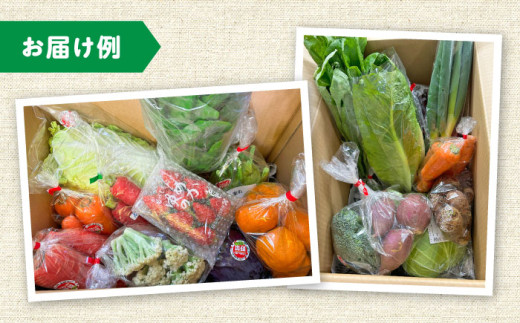 農家自慢 季節の野菜セット （7〜10品目） / 詰め合わせ 野菜 やさい 野菜セット 野菜詰め合わせ 旬 春野菜 夏野菜 秋野菜 / 大村市 / 産直松吉[ACZC001]