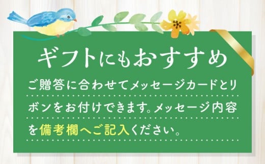 おまかせ 季節の寄せ植え プランター 1鉢 /  観葉植物 鉢植え 鉢 植物 花 フラワー 旬 育てやすい 寄せ植え おしゃれ インテリア プランター / 大村市 /アトリウム琴花園[ACZZ008]
