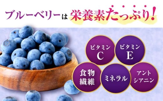 【2026年7月上旬頃より順次発送予定】生ブルーベリー 1kg（250g×4袋）/ ベリー べりー ブルーベリー ぶるーべりー 生 小分け 果物 くだもの フルーツ ふるーつ / 大村市 / おおむら夢ファームシュシュ[ACAA005]