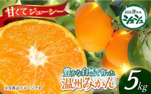 【2025年11月上旬より順次発送】みかん 5kg　/ みかん 果実 柑橘 / 大村市 / おおむら夢ファームシュシュ [ACAA377]