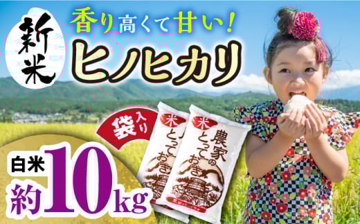 長崎県産 ヒノヒカリ 約10kg(5kg×2袋) / 米 おこめ お米 白米 ひのひかり / 大村市 / かとりストアー[ACAN009]