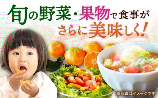 【12回定期便】野菜果物定期便コース / 便利な定期便 バラエティ定期便 フルーツ 定期 野菜セット 野菜 定期便 果物 くだもの フルーツ フルーツ定期便 / 大村市 / おおむら夢ファームシュシュ[ACAA092]