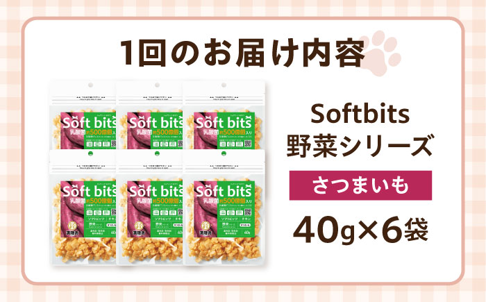 【全3回定期便】Softbits ドッグフード さつまいも（40g×6P）/ ドッグフード 犬 いぬ ドッグ おやつ ペットフード / 大村市 / サポート [ACAM040]