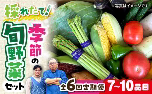 【 全6回定期便/偶数月】農家自慢 季節の野菜セット（7～10品目） / 詰め合わせ 野菜 やさい 野菜セット 野菜詰め合わせ 旬 春野菜 夏野菜 秋野菜 野菜定期便 / 大村市 /  産直松吉[ACZC002]