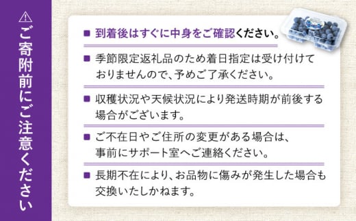 【2026年7月上旬頃より順次発送予定】冷凍ブルーベリー 1kg（250g×4袋）/ ベリー べりー ブルーベリー ぶるーべりー 冷凍 小分け 果物 くだもの フルーツ ふるーつ / 大村市 / おおむら夢ファームシュシュ[ACAA004]
