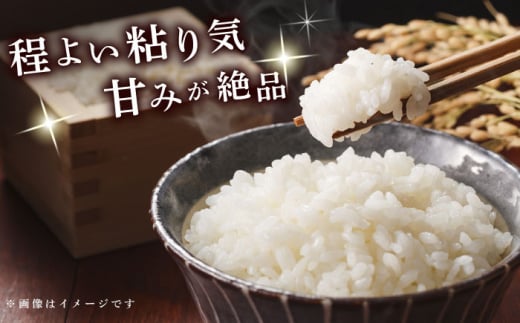 【令和7年度産】福田さんちの大村産ひのひかり5kg / 米 おこめ お米 白米 / 大村市 / 一般社団法人大村市物産振興協会[ACAB142]