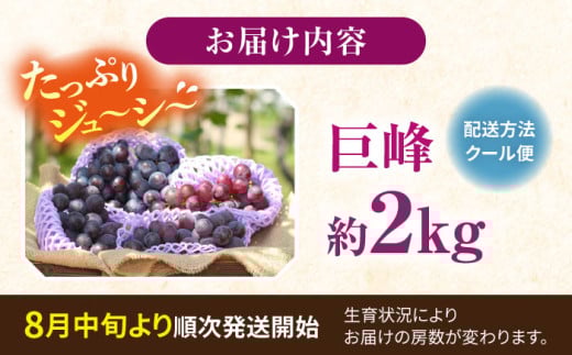 【先行予約：2026年8月中旬より順次発送予定】 巨峰 種あり 約2kg / ぶどう 葡萄 フルーツ / 大村市 / おおむら夢ファームシュシュ [ACAA380]