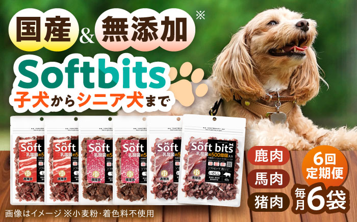 【全6回定期便】Softbits ドッグフード 肉アソート（40g×6P） / ドッグフード 犬 いぬ ドッグ おやつ ペットフード / 大村市 / サポート [ACAM032]