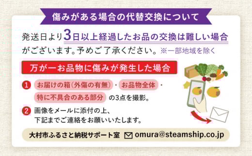 【2026年7月上旬頃より順次発送予定】冷凍ブルーベリー 1kg（250g×4袋）/ ベリー べりー ブルーベリー ぶるーべりー 冷凍 小分け 果物 くだもの フルーツ ふるーつ / 大村市 / おおむら夢ファームシュシュ[ACAA004]