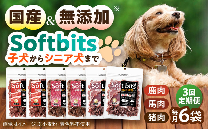 【全3回定期便】Softbits ドッグフード 肉アソート（40g×6P） / ドッグフード 犬 いぬ ドッグ おやつ ペットフード / 大村市 / サポート [ACAM031]