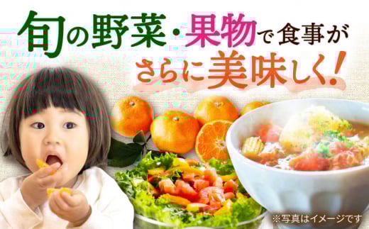 【9回定期便】シュシュの直売所から野菜・果物定期便コース / 野菜 やさい 果物 くだもの フルーツ ふるーつ 産地直送 フルーツ定期便 / 大村市 / おおむら夢ファームシュシュ[ACAA166]