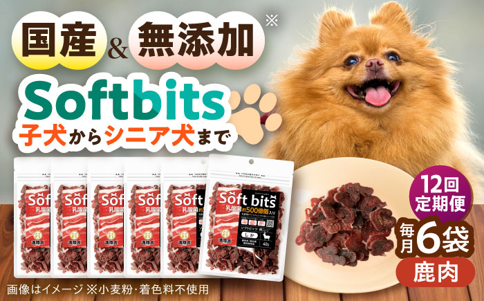 【全12回定期便】Softbits ドッグフード 鹿（40g×6P）/ ドッグフード 犬 いぬ ドッグ おやつ ペットフード / 大村市 / サポート [ACAM036]