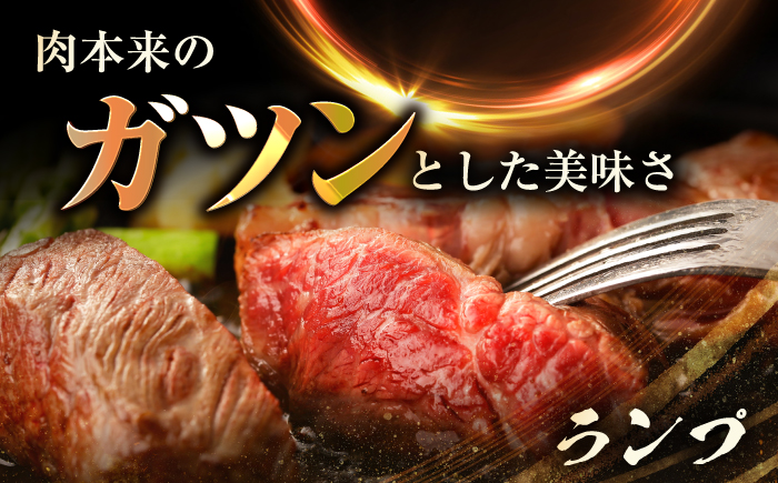長崎和牛ヒレ&シャトーブリアン&ランプ ステーキ 食べ比べ 各約150g×2枚 計900g / ヒレ ひれ ヒレ肉 ヒレステーキ シャトーブリアン シャトー ランプ らんぷ 赤身 赤身ステーキ / 大村市 / まるしん商会 [ACCD036]