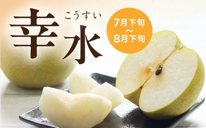 長崎県産 朝採り旬の梨 約2.5kg 6玉 大村市 産直松吉/梨 なし 幸水 豊水 秋麗 あきづき 新高 20世紀 二十世紀 かんた [ACZC011]