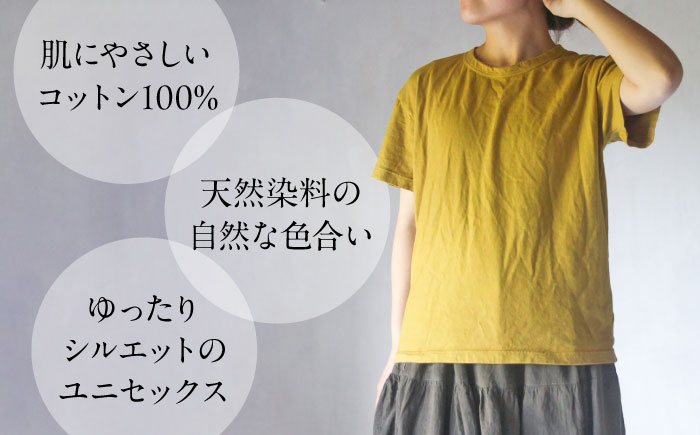 オーガニックコットン 完熟Tシャツ　【柑子色】 Sサイズ / オーガニック コットン 綿100　手染め 草木染め Ｔシャツ 半袖 トップス ファッション インナー 女性用 レディース 男性用 メンズ ユニセックス 男女兼用 ギフト 贈答 プレゼント / 大村市 / ISTIST [ACZW058-1]