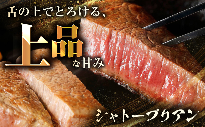 長崎和牛ヒレ&シャトーブリアン&ランプ ステーキ 食べ比べ 各約150g×2枚 計900g / ヒレ ひれ ヒレ肉 ヒレステーキ シャトーブリアン シャトー ランプ らんぷ 赤身 赤身ステーキ / 大村市 / まるしん商会 [ACCD036]