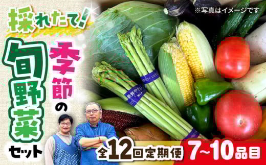 【全12回定期便】農家自慢 季節の野菜セット（7～10品目） / 詰め合わせ 野菜 やさい 野菜セット 野菜詰め合わせ 旬 春野菜 夏野菜 秋野菜 野菜定期便 / 大村市 / 産直松吉[ACZC003]