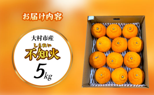 【2026年4月より順次発送予定】不知火 5kg　/ しらぬい みかん 果実 柑橘 / 大村市 / おおむら夢ファームシュシュ [ACAA299]